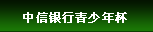 中信银行青少年杯高尔夫球对抗赛